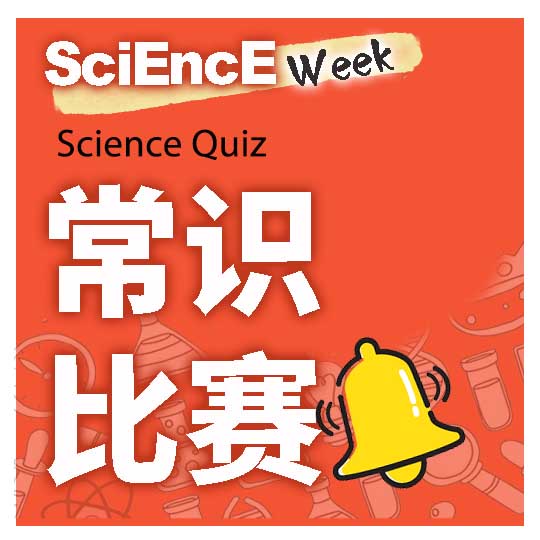quiz banner