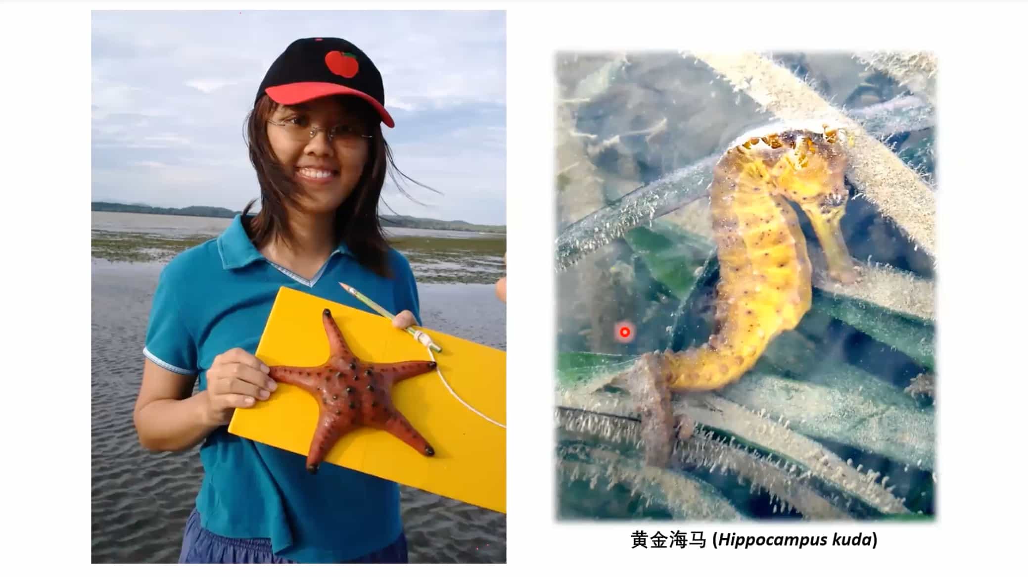 talk-nature volunteer2