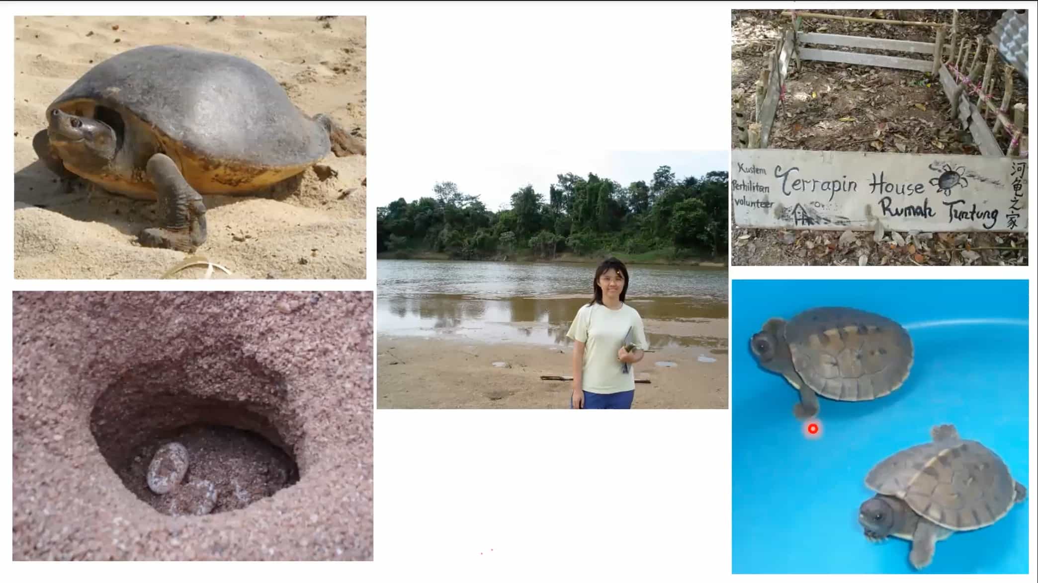 talk-nature volunteer1