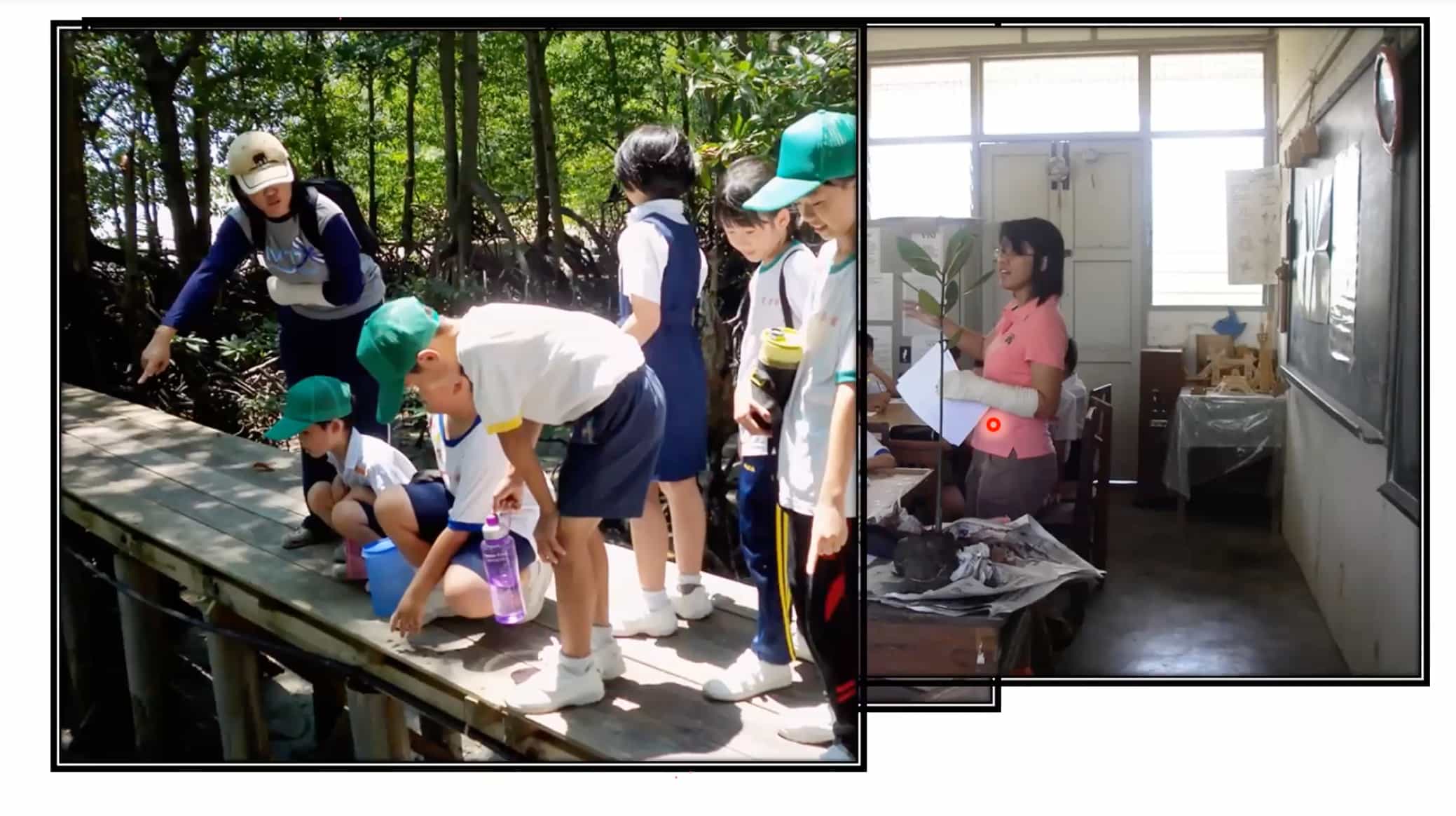 talk-nature volunteer4