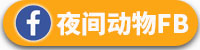 night-animal-fb-button