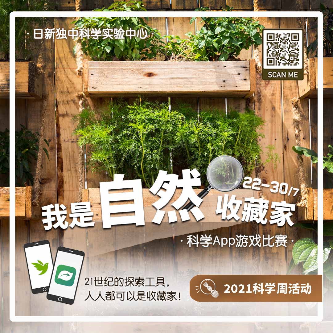 appdiscovery-poster1